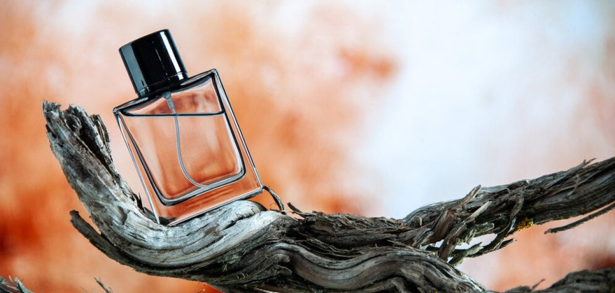 SUMMER PERFUMES